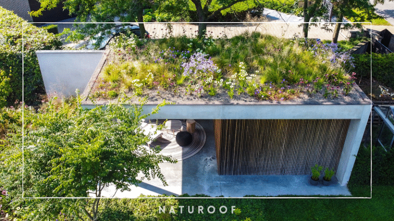 25073 bc8d6962ed6a 768x432