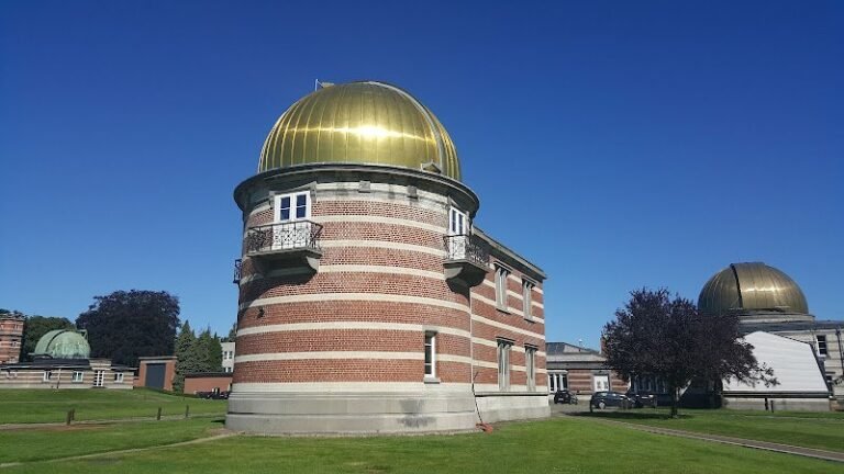 25101 3f5df2608441 768x432