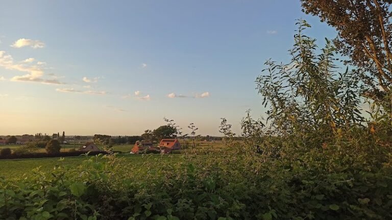 25167 ad32b9a6e78e 768x432