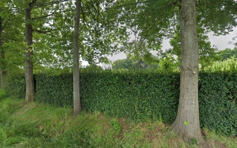 25207 e001680872fb 768x480