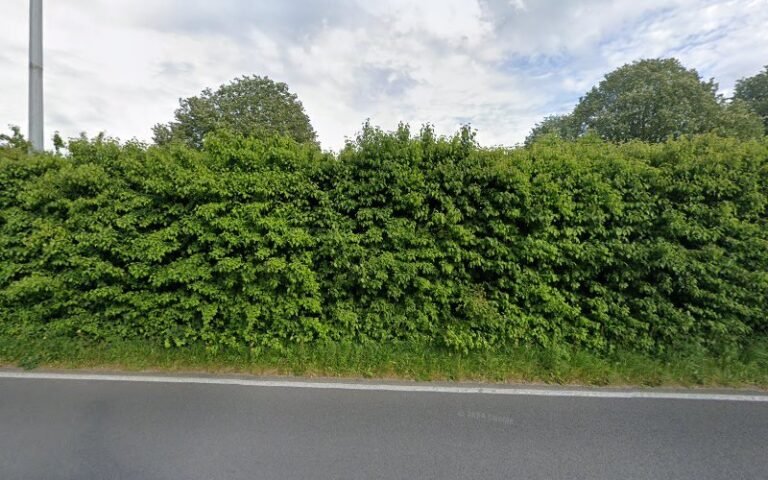 26218 d337f6ce6ae5 768x480