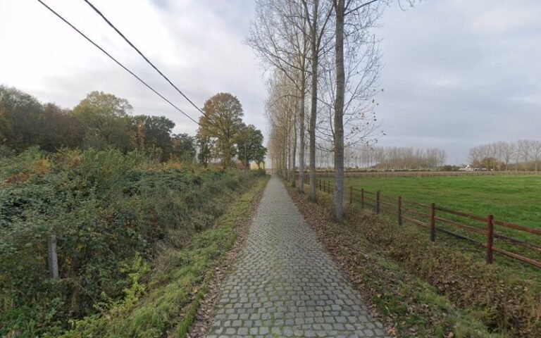 26247 1131ef1e663b 768x480