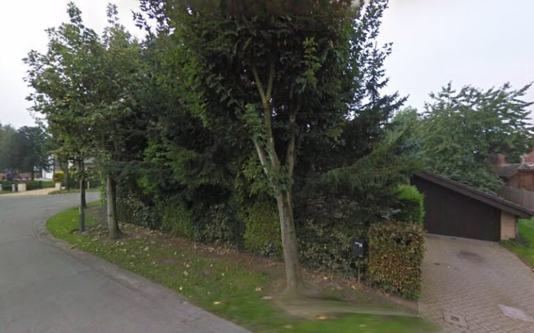 26595 2189486b496d 768x480