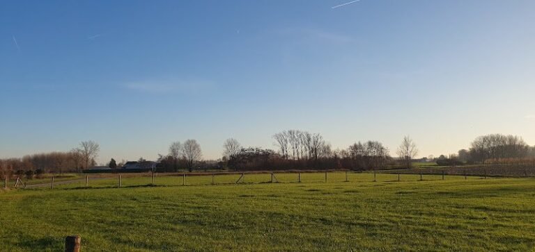 27758 f05d54b132fe 768x363