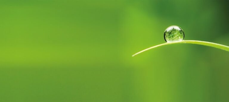 27891 d1dbca0ca102 768x344