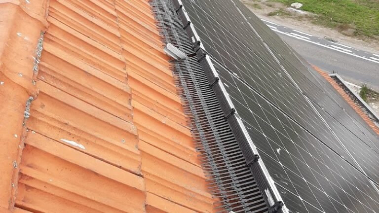 28647 aedcfd1f4088 768x432