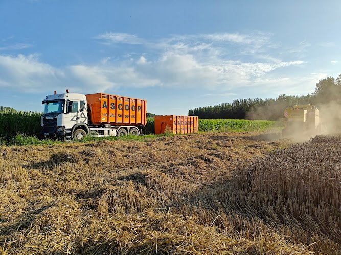 28951 67cb16524869
