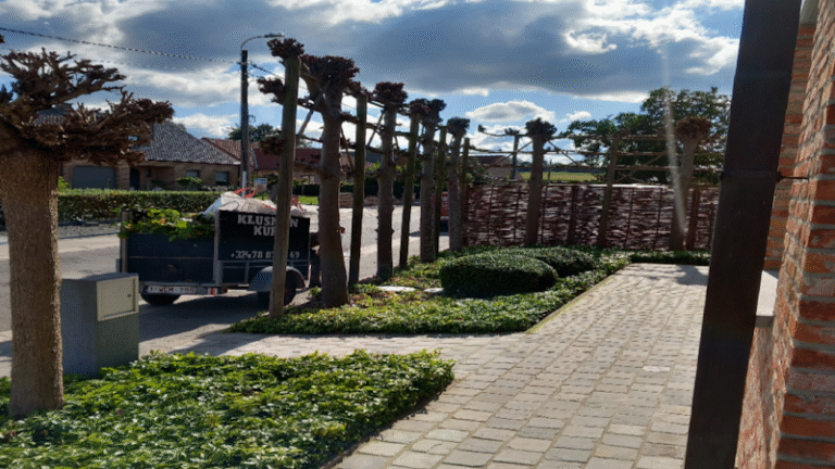 29118 7e937c51c73e 768x432