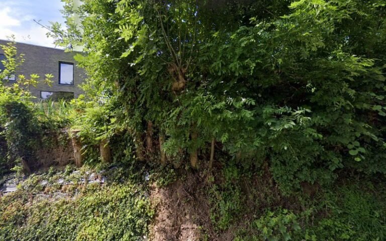 29349 2472f55762af 768x480