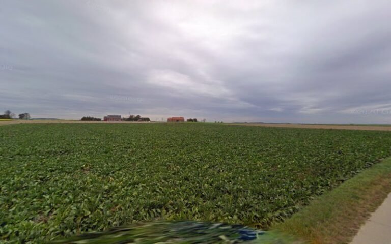 29355 d150149e421f 768x480