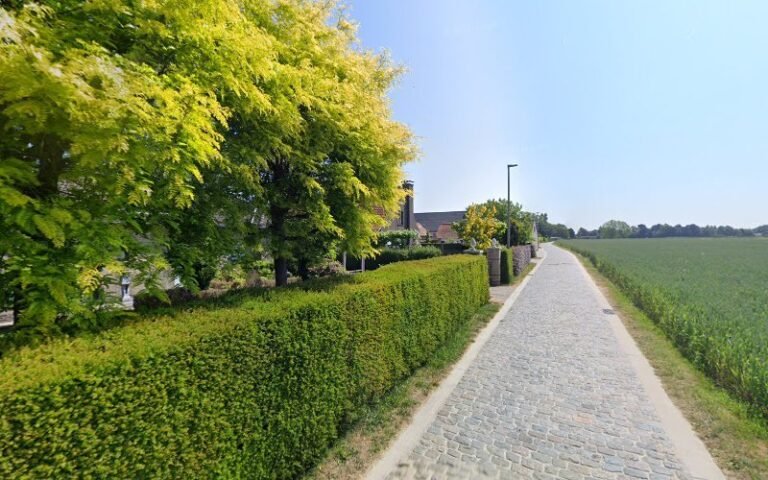 29575 924bde6b156d 768x480