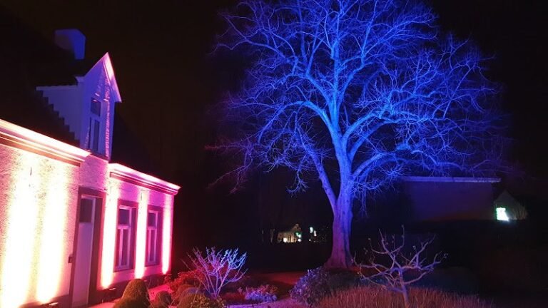 29898 32408b837c3e 768x432