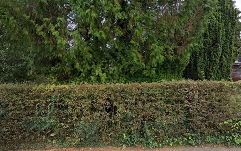 29925 6806497ad06f 768x480