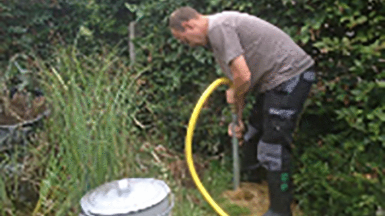 30283 8e5968a6a747 768x431