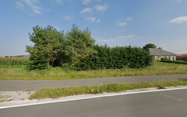 30723 b2b84a503055 768x480