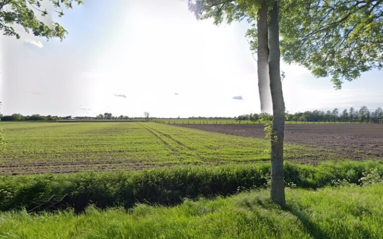 30741 1af470001e03 768x480