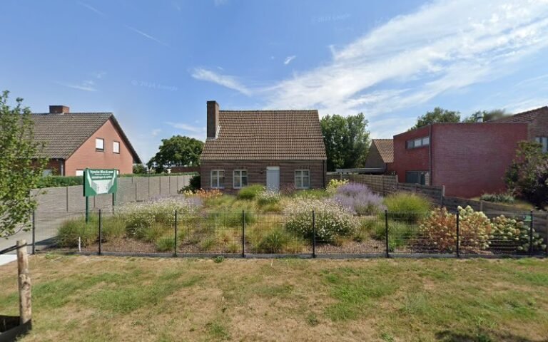 30910 285e60b963c2 768x480