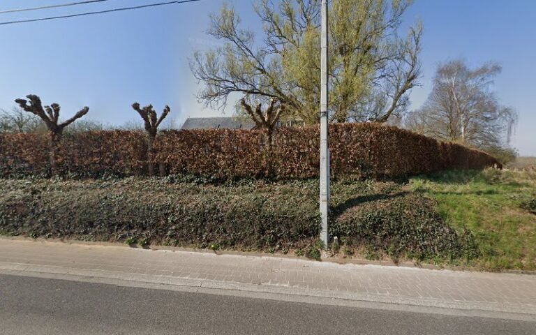 31264 011028d07905 768x480