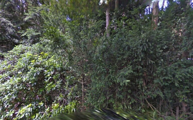 31452 e93643d91ece 768x480