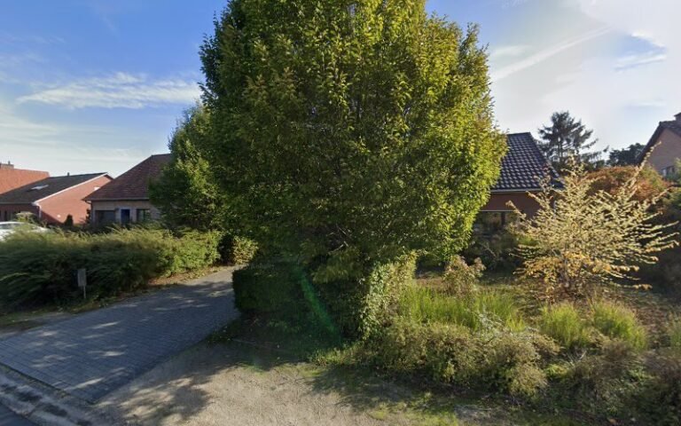 31470 0d9192c2b2e6 768x480