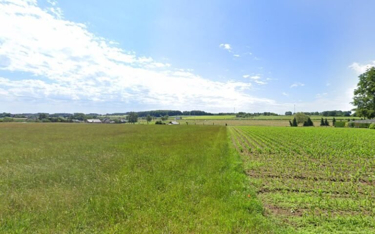 31677 ae20bdfd514f 768x480