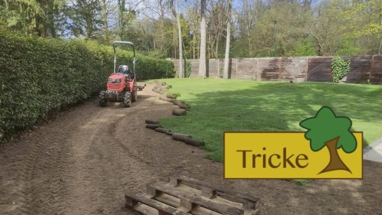 31829 bf0c592b7ced 768x432