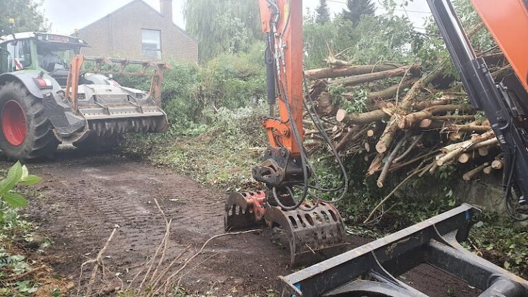 32094 246a78515a8e 768x432