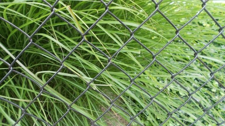 32355 ae2edf217144 768x432