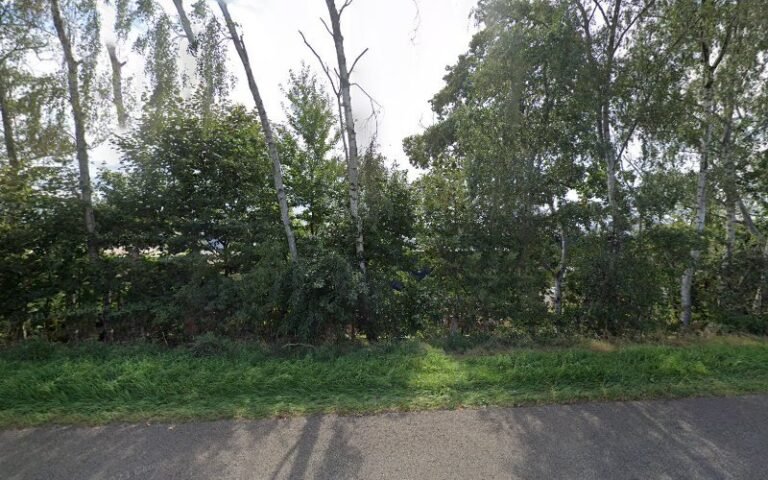 32473 98e90abcc883 768x480