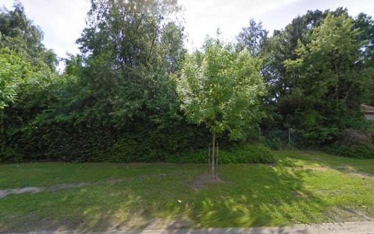 32752 9733cbe168ed 768x480