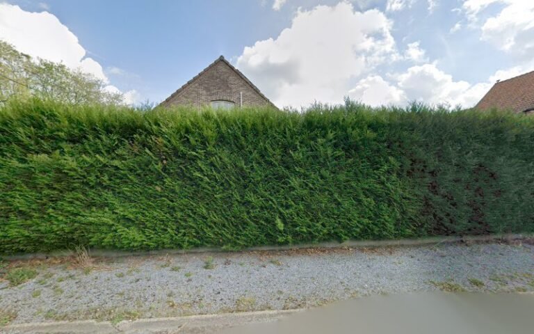 32835 93df6f789bc8 768x480