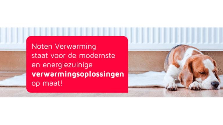 33202 f53e1be649a3 768x431