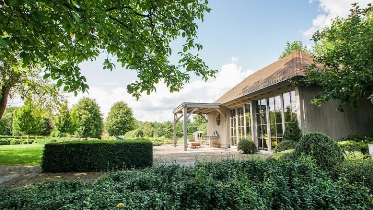 33958 5c2b6b846aaf 768x432