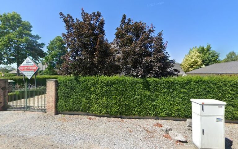 34850 d3103decc431 768x480