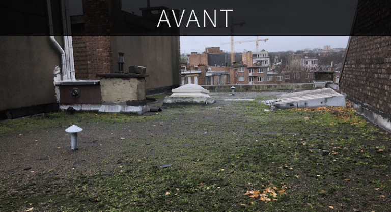 36958 55ec074b6c3a 768x417