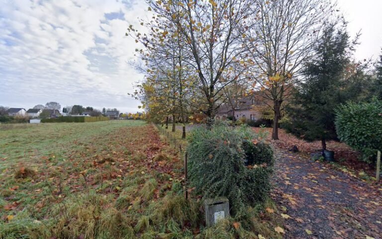 37301 f7e3edc565e1 768x480