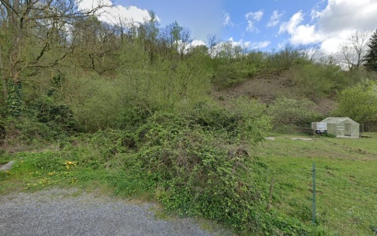 37414 cb0c52ffa028 768x480