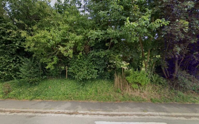 37652 6301c0e41381 768x480