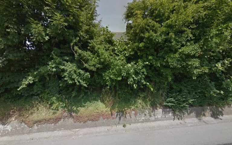 37807 e40a30bedc3d 768x480