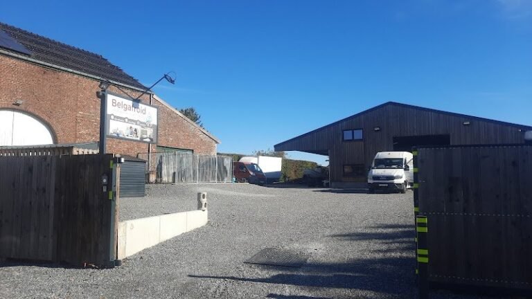 37822 a590e8ae0d4f 768x432