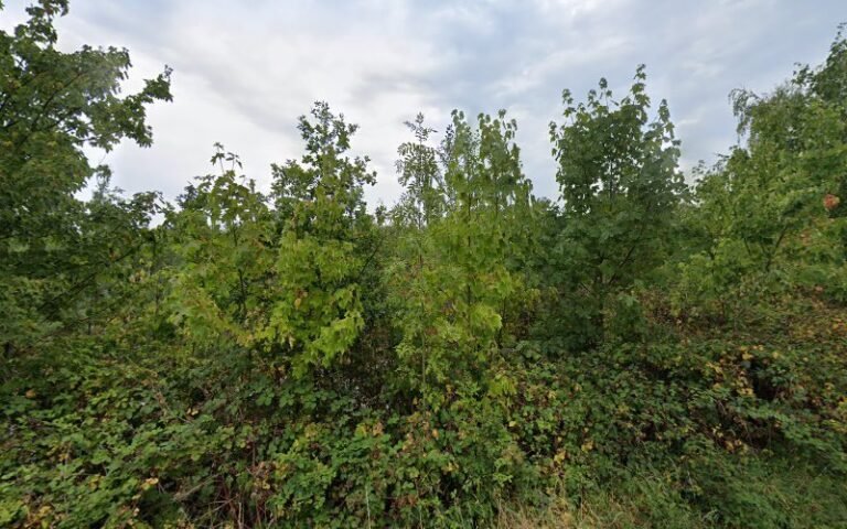 37954 ae73636b0eb0 768x480