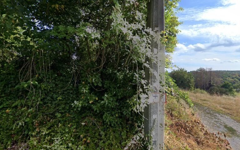 37986 76b0997dbae6 768x480