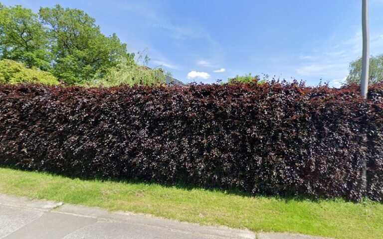 38049 5e0ab3e3cccd 768x480