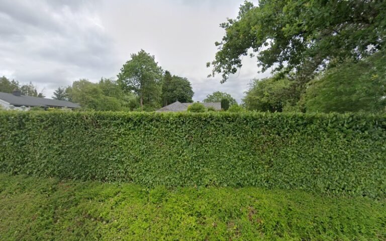 38055 eb6cb8ebcde1 768x480