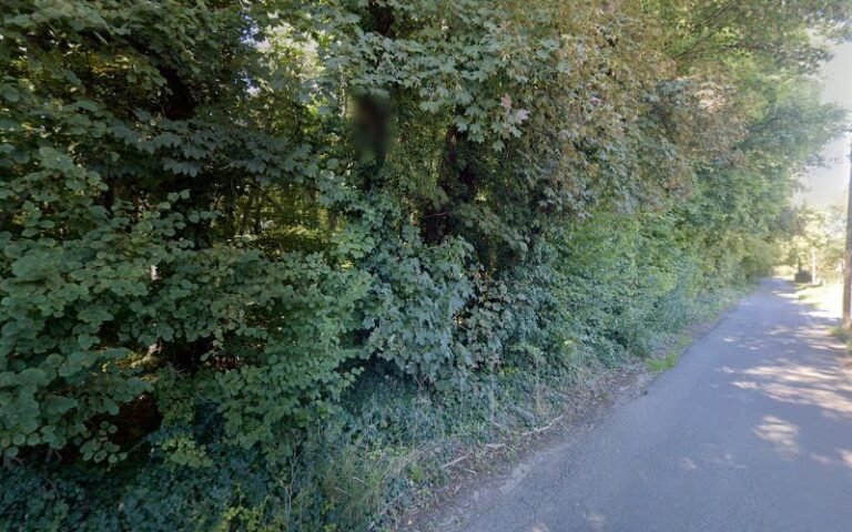 38057 014af60afca8 768x480