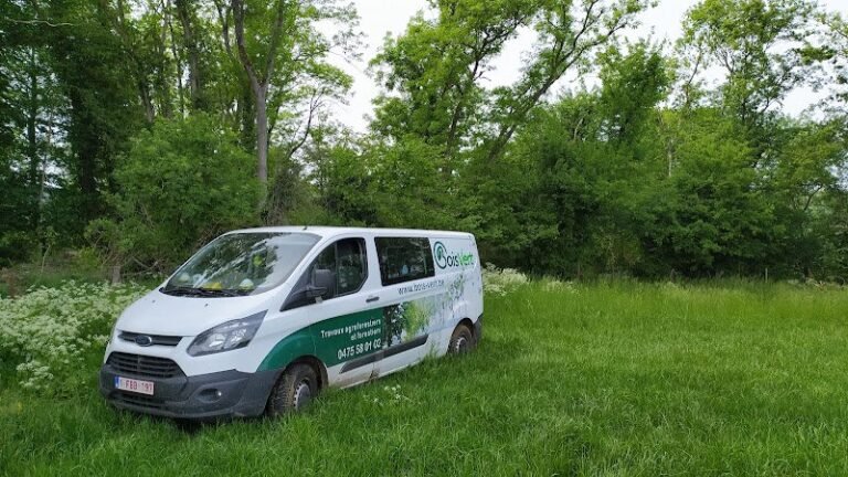 38097 7aae7fe920f3 768x432