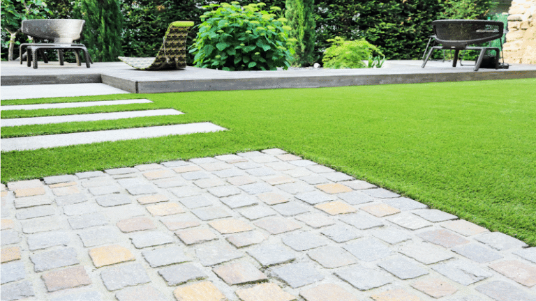 38330 7950bc518cf6 768x432