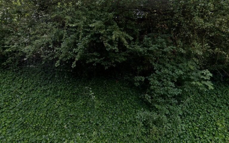 38350 4b5d0034910f 768x480