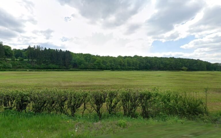 38693 d54459fe20c9 768x480