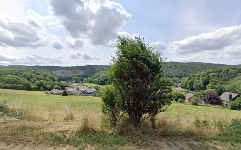 38790 76e703ef6562 768x480